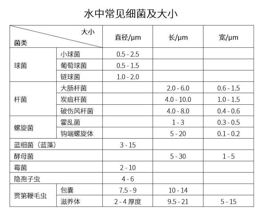 水中常見(jiàn)的細(xì)菌及其大小